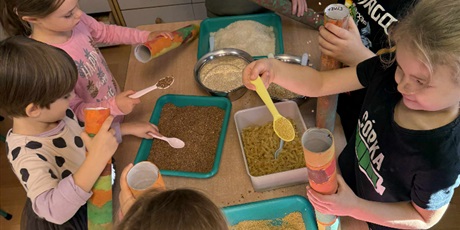 Powiększ grafikę: kije-deszczowe-gr-iii-648661.jpg