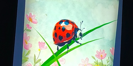 Powiększ grafikę: lumi-w-trawie-szumi-dzieci-z-grup-3-4-i-5-w-teatrze-mostownia-687516.jpg