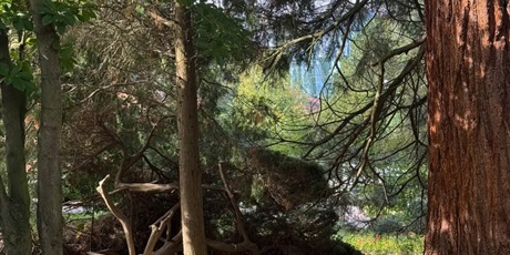 Powiększ grafikę: palcem-po-mapie-park-oliwski-gr-v-716105.jpg