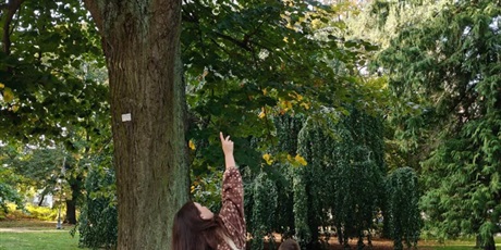 Powiększ grafikę: palcem-po-mapie-park-oliwski-gr-v-716110.jpg