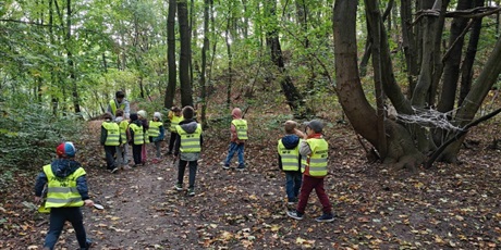 SPACER W LESIE- GRUPA V