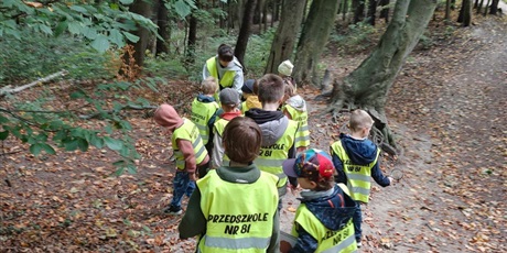 Powiększ grafikę: spacer-w-lesie-grupa-v-716783.jpg