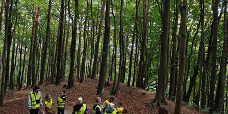 Powiększ grafikę: spacer-w-lesie-grupa-v-716786.jpg