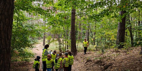 Powiększ grafikę: spacer-w-lesie-grupa-v-716790.jpg