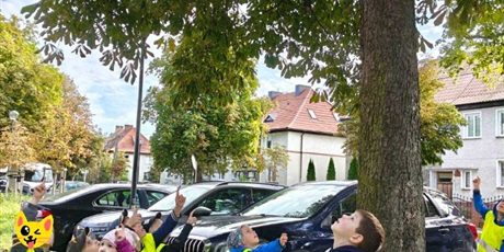 Powiększ grafikę: wrzesien-w-gr-iii-640807.jpg