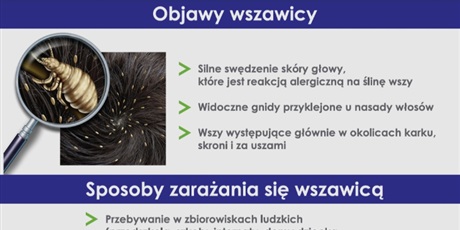 Powiększ grafikę: wszawica-ulotka-558773.jpg