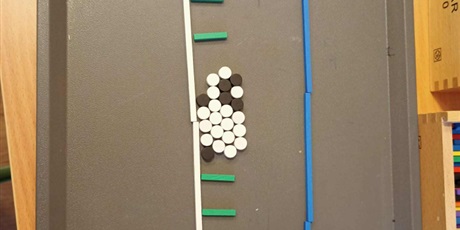 Powiększ grafikę: DAR FROEBLA