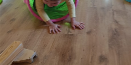 Powiększ grafikę: DINO- ĆWICZENIA