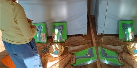 Powiększ grafikę: DINO- ĆWICZENIA