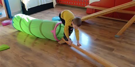 Powiększ grafikę: DINO- ĆWICZENIA