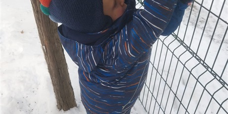 Powiększ grafikę: GRUDZIEN