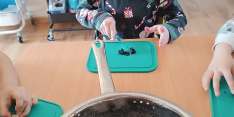 Powiększ grafikę: SMACZNIE, ZDROWI, KOLOROWO