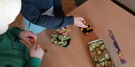 Powiększ grafikę: SMACZNIE, ZDROWI, KOLOROWO