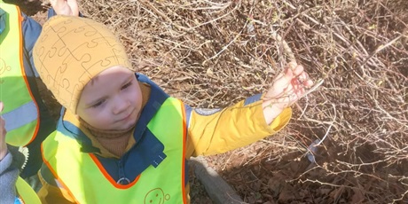 Powiększ grafikę: SZUKAMY OZNAK WIOSNY