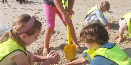 Powiększ grafikę: WYCIECZKA NA PLAŻĘ